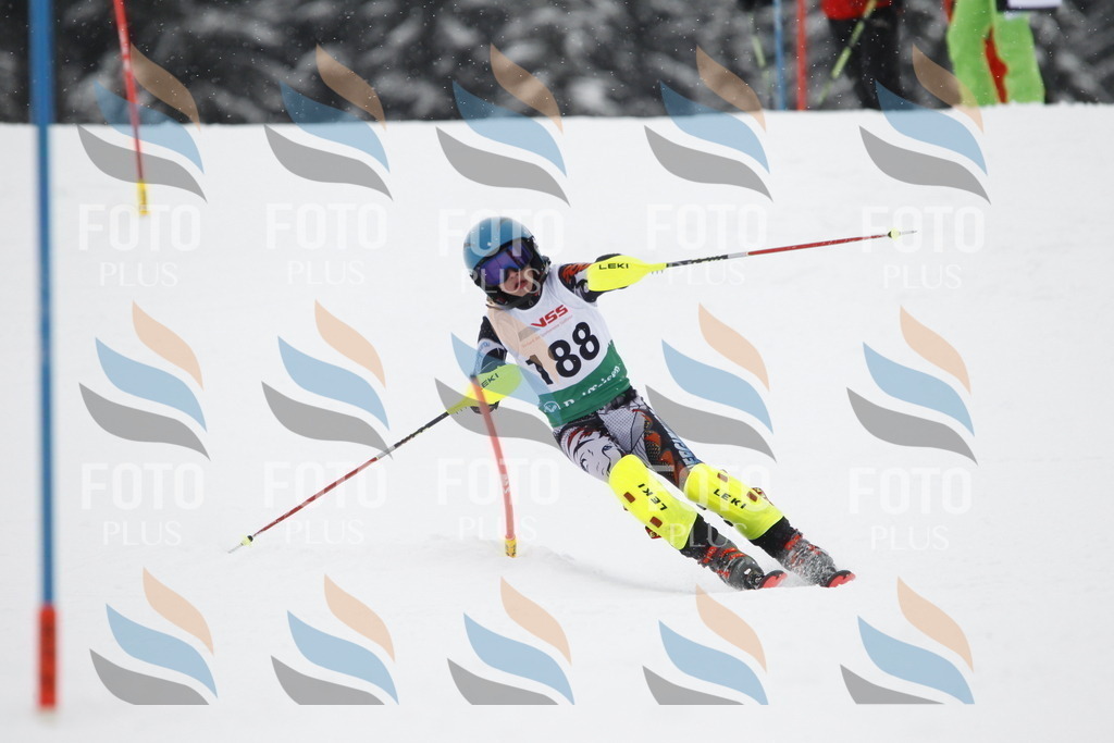 A2114 | holidayphoto