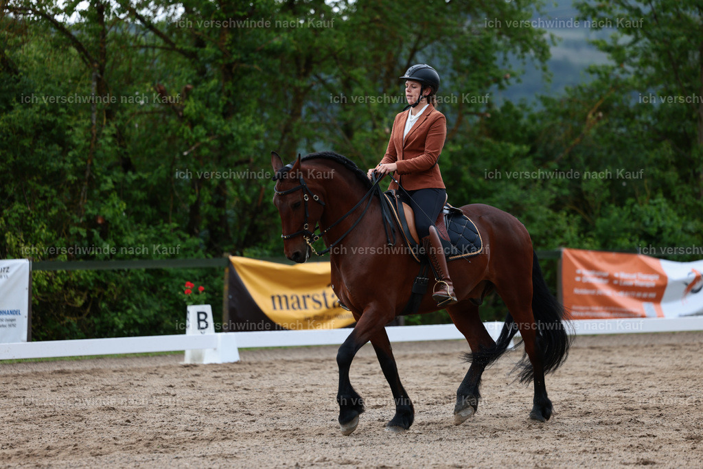 KlasseL_Stoibphotography_CAM21403.JPG | working equitationturnier fotograf videograf stoibphotography marixx film working equitation deutschland reitsport turnierfotografie eventfotografie equestrian events