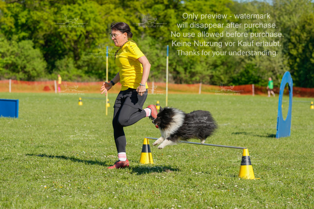 Sa_CSC-334 | stephaniefillaphotographie - Realisiert mit Pictrs.com