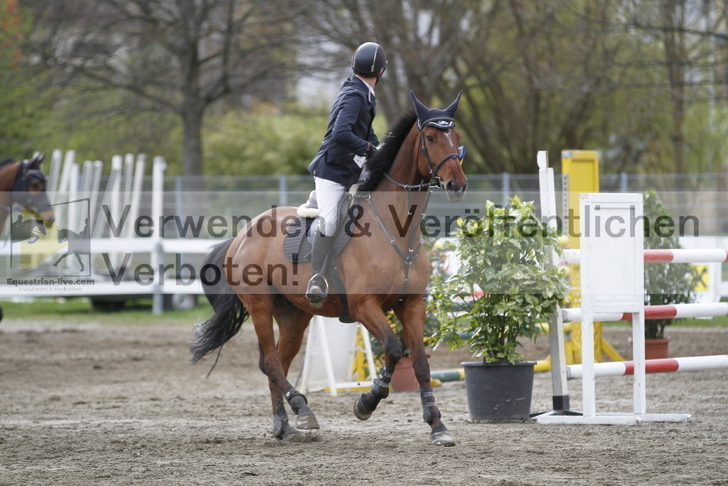 _MG_6268 | equestrian-live-com