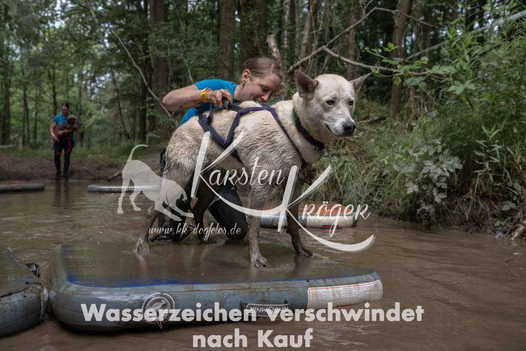1357_ZZ96480 | kk-dogfotos