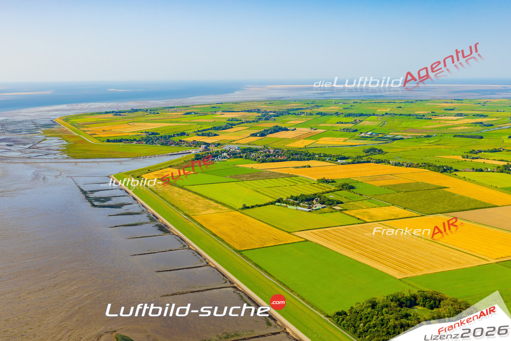 Tammensiel Pellworm Bild- Das Luftbild wurde 2025 vom UL-Flugzeug heraus erstellt ( keine Drohne bzw. Drohnenaufnahme ) - Hochauflösende Luftaufnahme -Nicht vergleichbar mit Google Maps oder Satelittenbilder- Die Geschenkidee !Mit Lizenz und Bildrechte bestellbar - CC