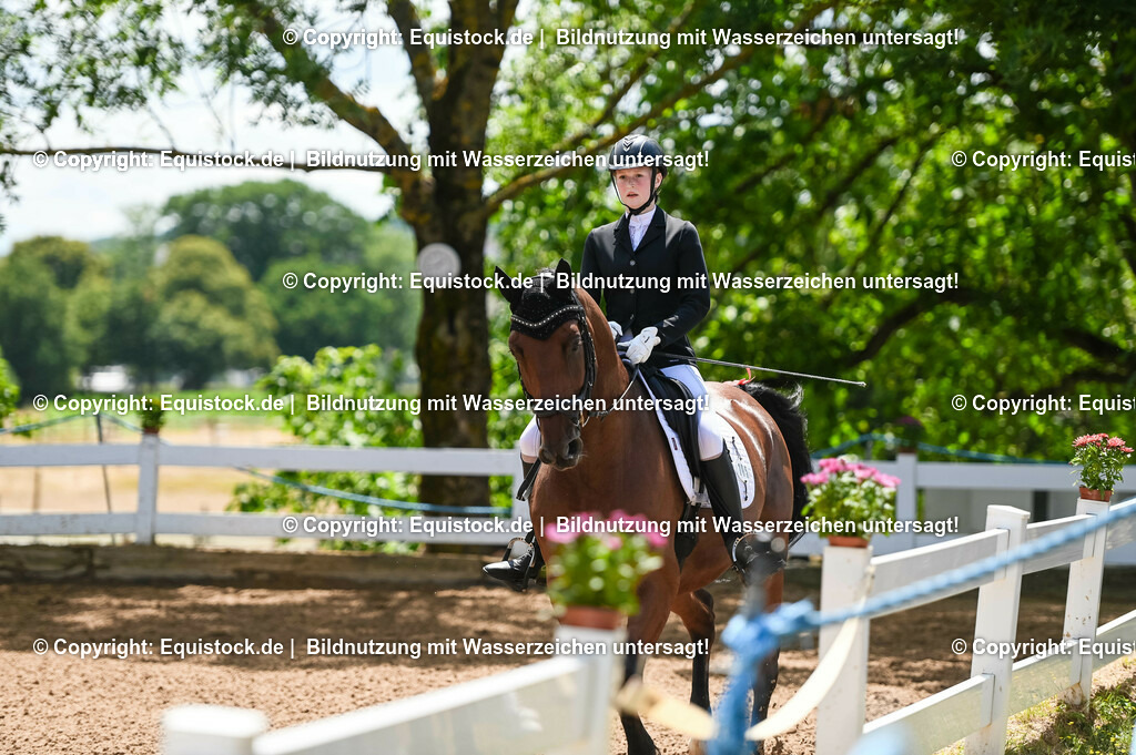 20230716_03_Dressurprfg. Kl.L - Tr._0067 | equistock