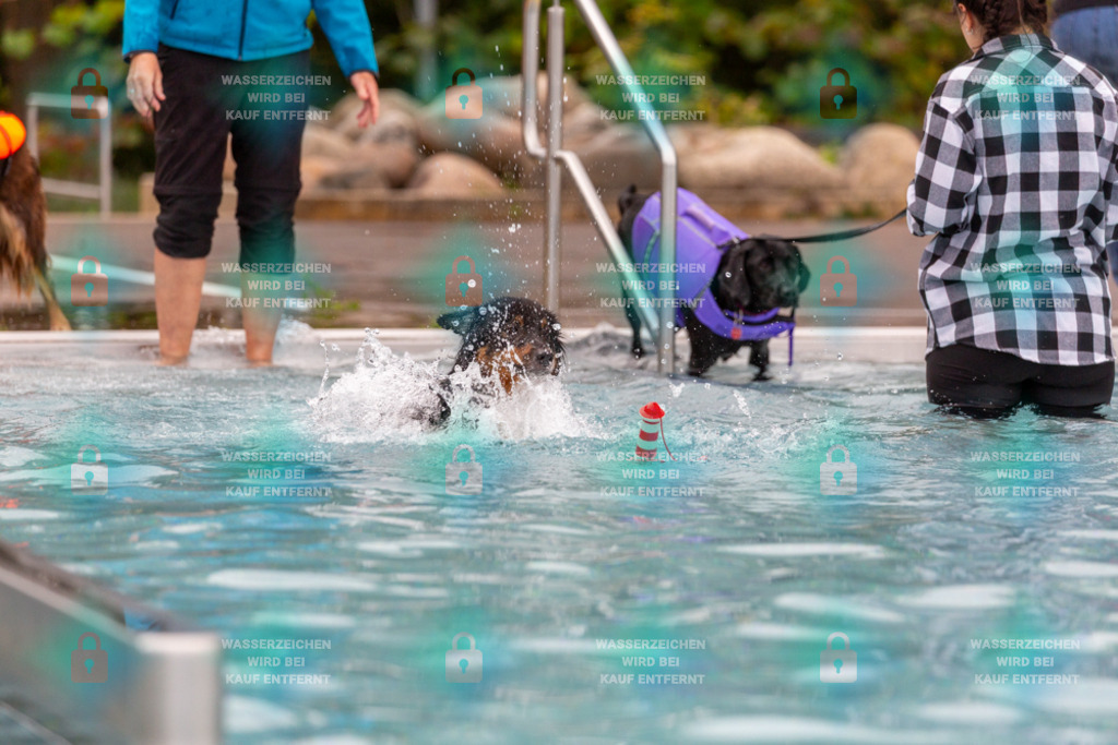 _HP_6287_1000o | HetPix, HetPix Fotodesign, Fotografie, Fotodesign, Webshop, Sportfotografie, Portraitfotografie, Onlineshop, Sportfotografie, Polch, Motorsportfotografie, Eventfotografie