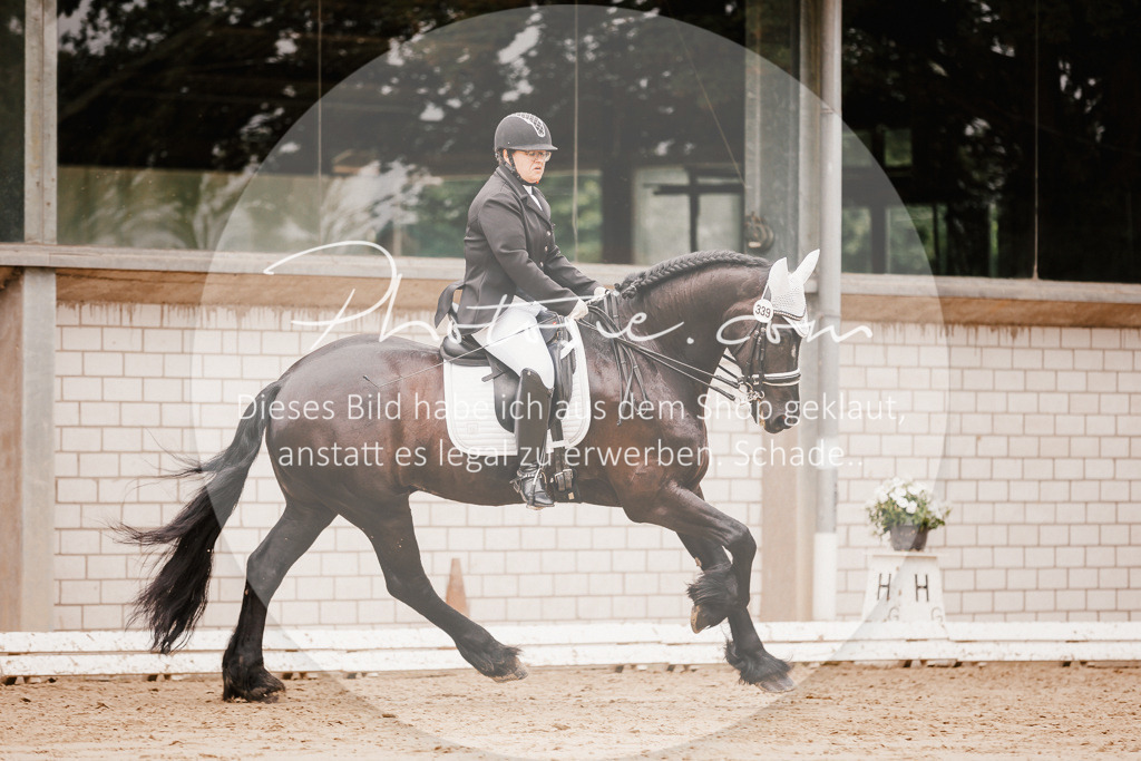 3I6A7764 | Stimmungsvolle Portraits und Reitsportfotografie im Ruhrgebiet und im Münsterland.

Pferdefotografie, Hundefotografie, Tierfotografie, Reportagen, Portraits von Tier und Mensch, Turnierfotografie in Bochum, Recklinghausen, Marl, Haltern am See, Dülmen.. - Realisiert mit Pictrs.com