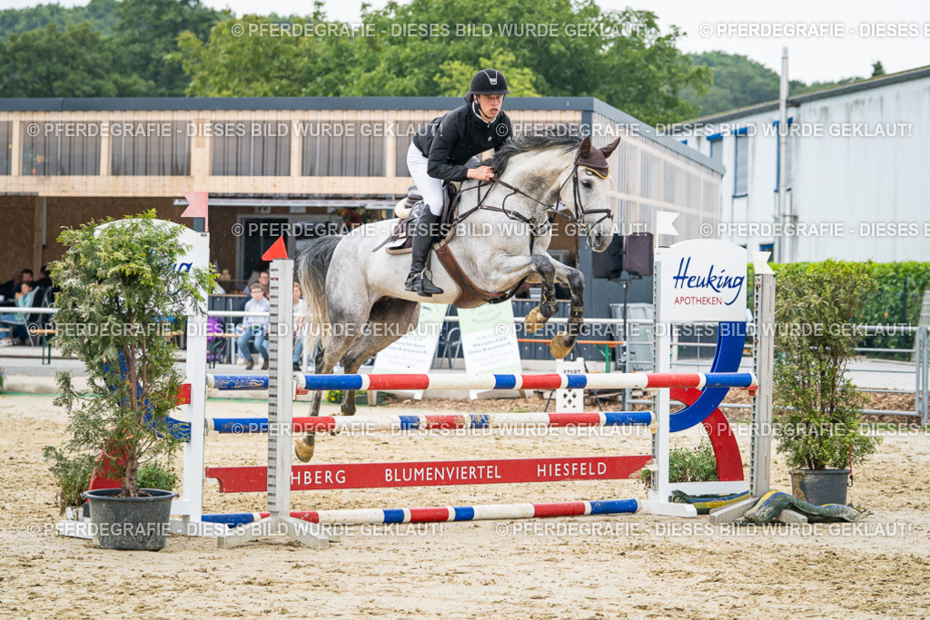 DSC00496 | Pferdegrafie