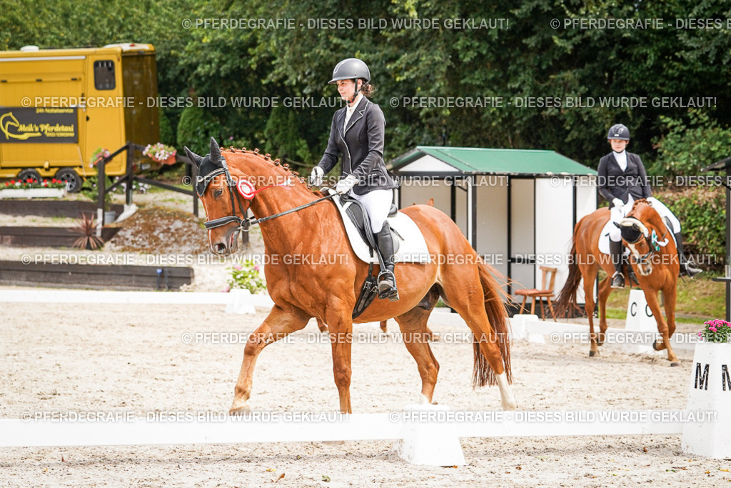 DSC04613 | Pferdegrafie