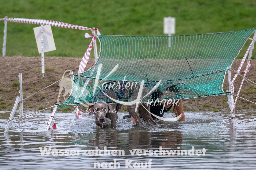 0824_ZZ91159 | kk-dogfotos