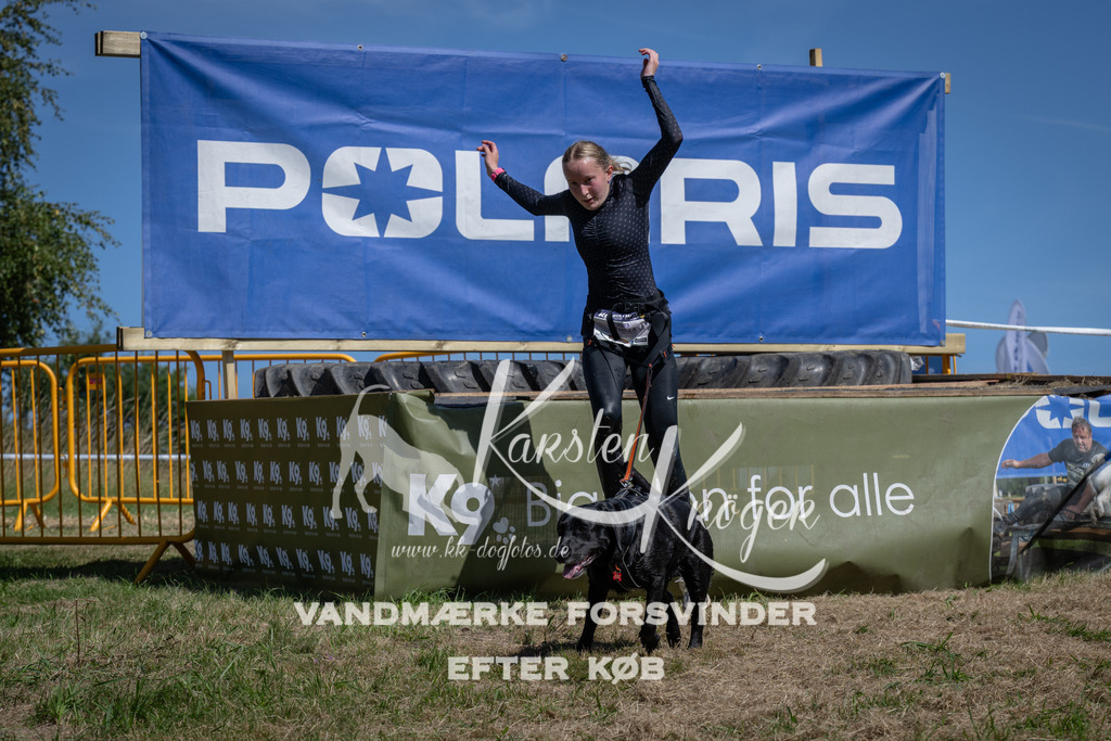 1227_ZZ95330 | kk-dogfotos