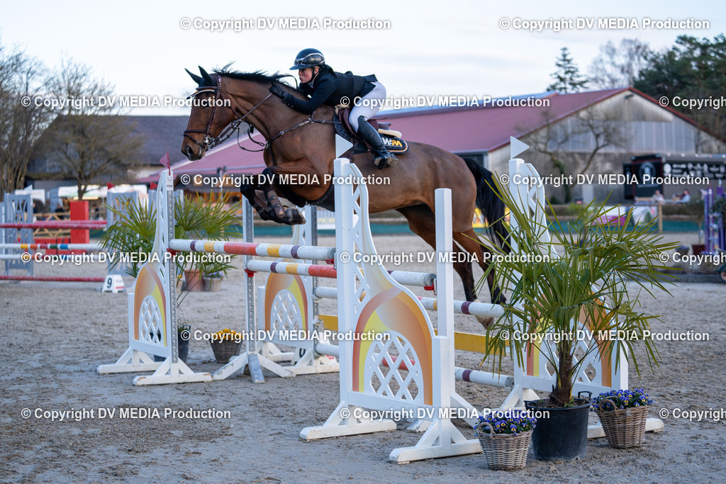 Kranichstein Tag 2-1041 | dv-media-shop - Realisiert mit Pictrs.com