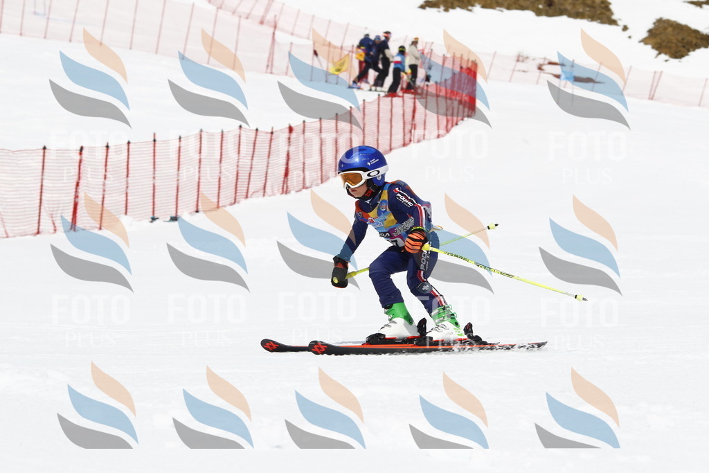 _U3G6705 | holidayphoto