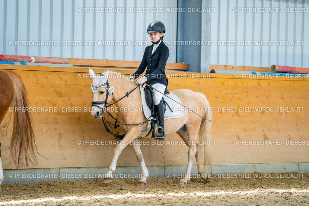 DSC08571 | Pferdegrafie