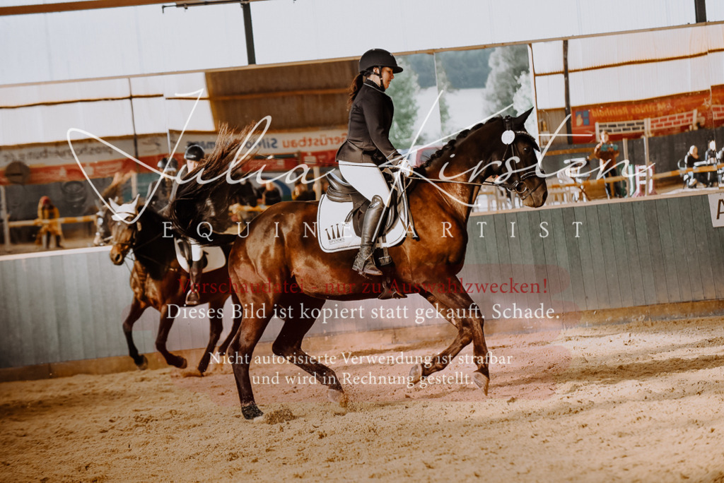 DSC_7567 | Pferde- und Turnierfotografie in Westsachsen. Pferdeportraits, Auftragszeichnungen und intuitive Kunst.