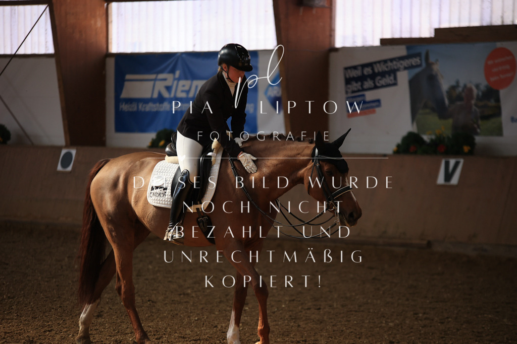 IMGT2900 | pl-fotografie