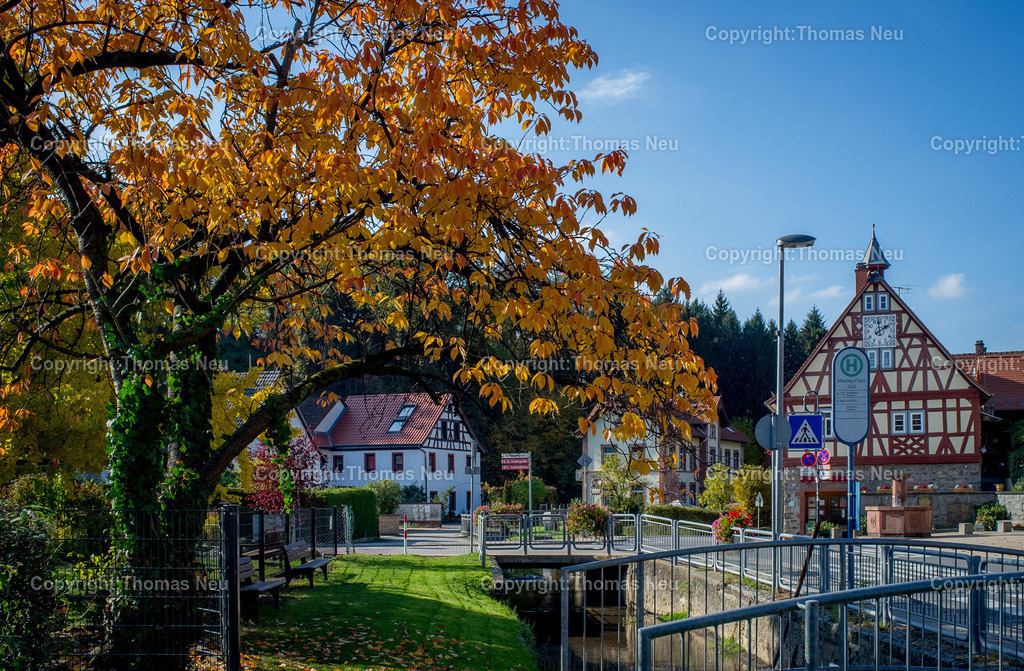 Zell_Herbst | Bensheim, goldener Oktober, in Zell, ,, Bild: Thomas Neu