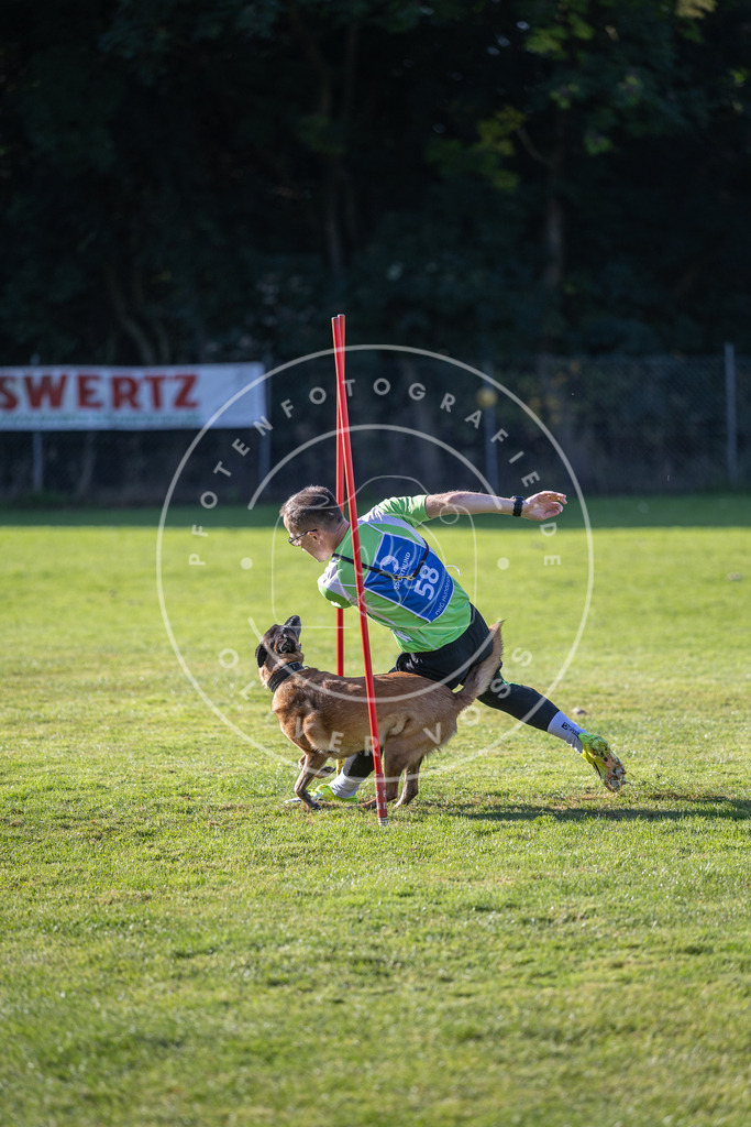 Pfotenfotografie.de_DV3A3363 | Hundefotografie, Tierfotograf, Pfotenfotografie, Fotoshooting Hund, Hunde Portrait, Hundesport, Hundeportraits, Heideshooting, Hunde, Sportfotograf, Hundefotograf, Turnierhundsport, THS, canicross - Realisiert mit Pictrs.com