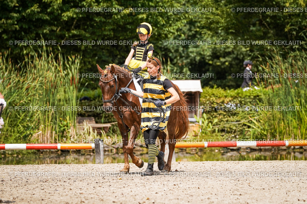 DSC03121 | Pferdegrafie