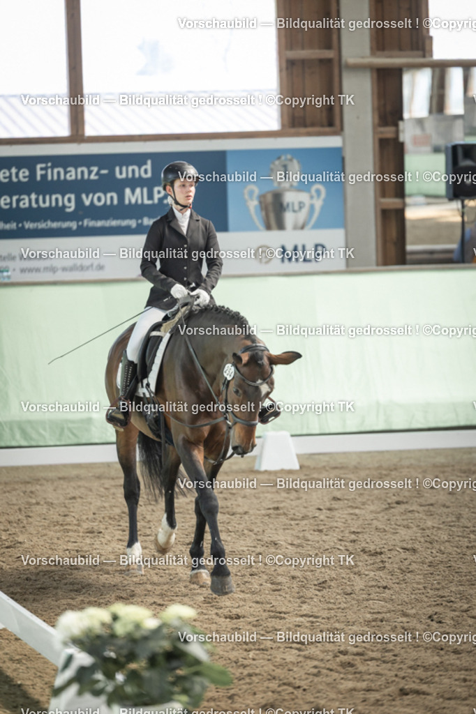 _D5A5493 | Emotionale Pferde- & People-Fotografie rund um Heidelberg, Leimen & Umgebung. Natürliche Fotos von Pferd, Mensch & Familie. Jetzt Termin sichern!