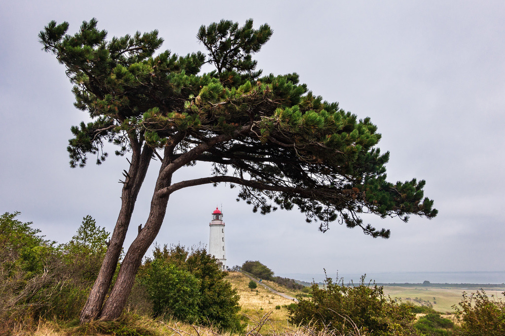 Der Leuchtturm Dornbusch auf der Insel Hiddensee | Der Leuchtturm Dornbusch auf der Insel Hiddensee.