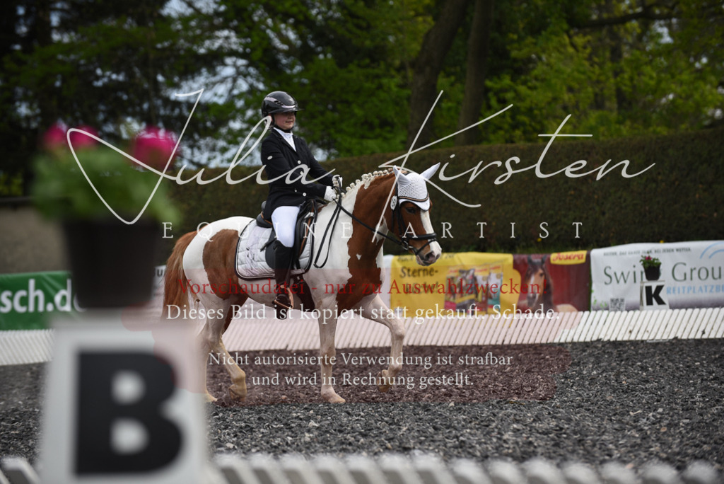 20230513_JK-Röhrsdorf-16-249 | Pferde- und Turnierfotografie in Westsachsen. Pferdeportraits, Auftragszeichnungen und intuitive Kunst.
