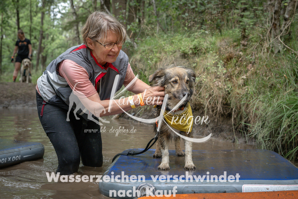 1245_ZZ90619 | kk-dogfotos