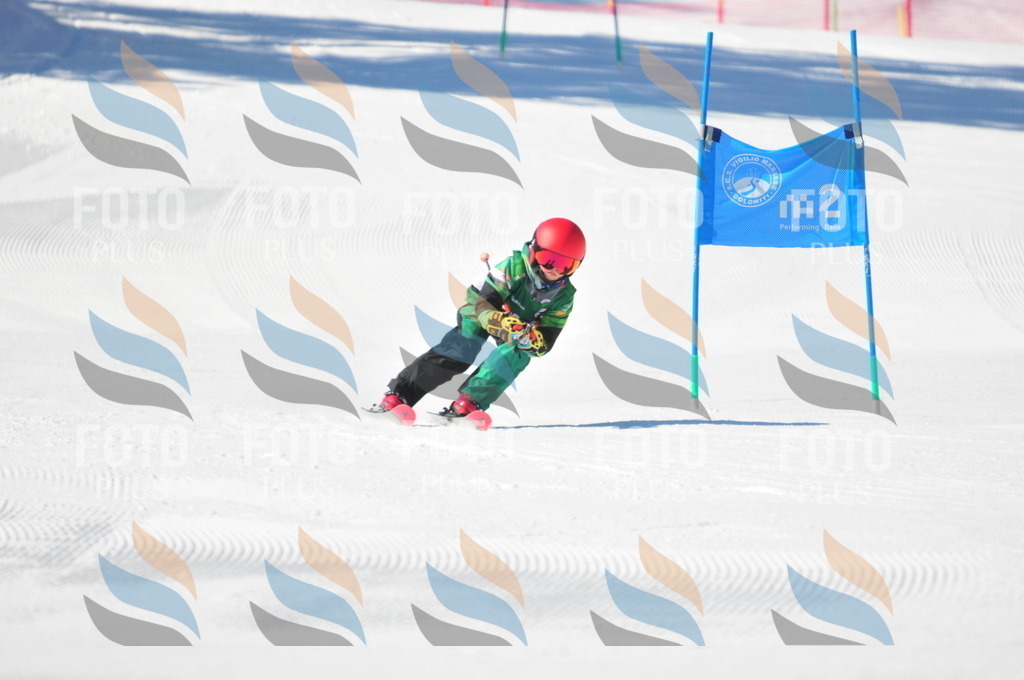 C2803 | holidayphoto