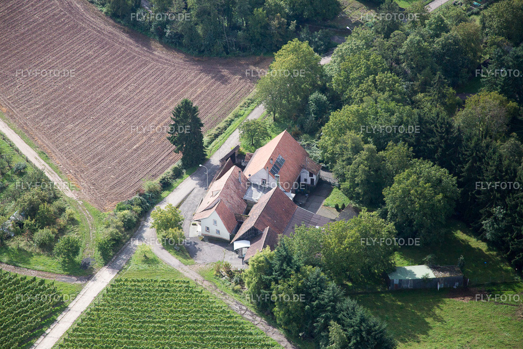 Herbert Nikolaus | Luftbild: Herbert Nikolaus im Ortsteil Heuchelheim in Heuchelheim-Klingen im Bundesland Rheinland-Pfalz in Deutschland. Foto: IMG_072586.jpg vom 19.09.2014 durch Werner Riehm/FLY-FOTO.de - Realisiert mit Pictrs.com