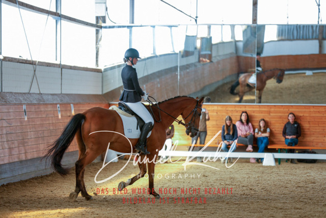 _62_7816 | Turniersportfotografie; Pferdefotografie; Dressurfotografie