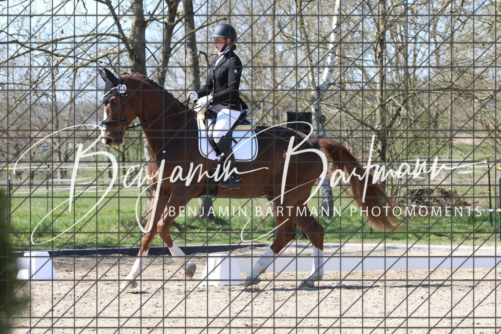 AZ2A4312 | Benjamin Bartmann Photomoments