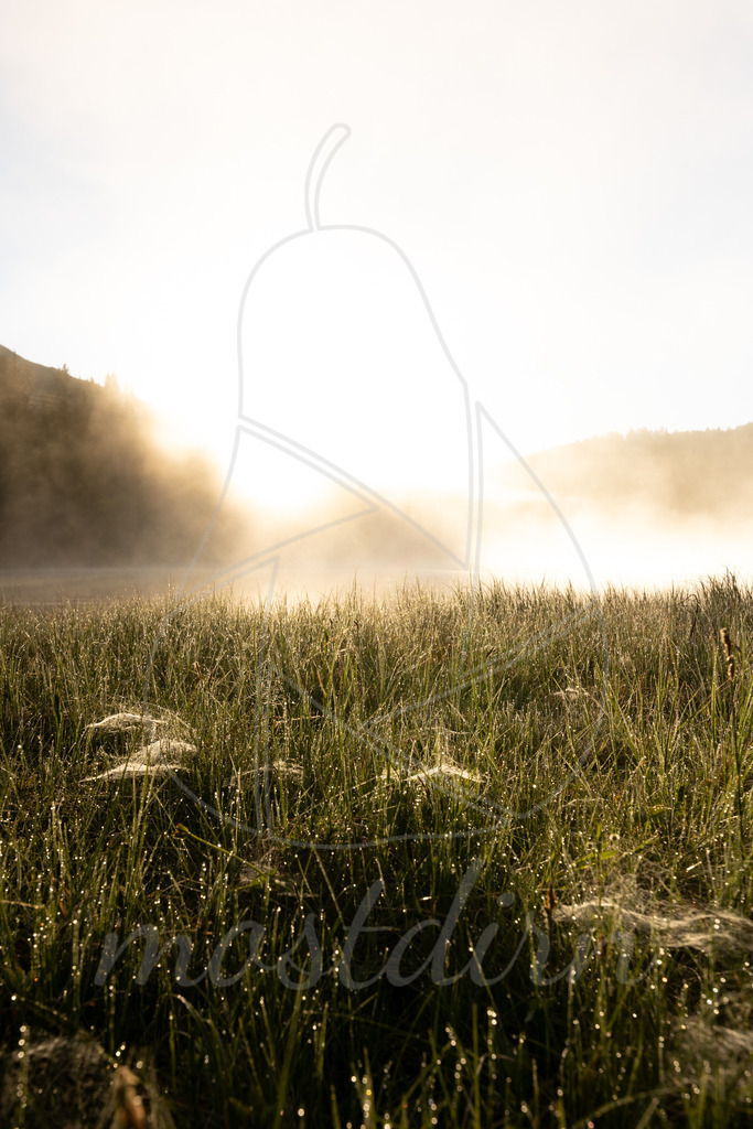 Prebersee | Bei Veröffentlichung des Bildes ist eine Namensnennung wie folgt erforderlich: 
Foto: Mostdirn Irmgard Wieser - Realisiert mit Pictrs.com