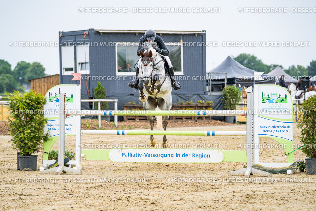 DSC08362 | Pferdegrafie