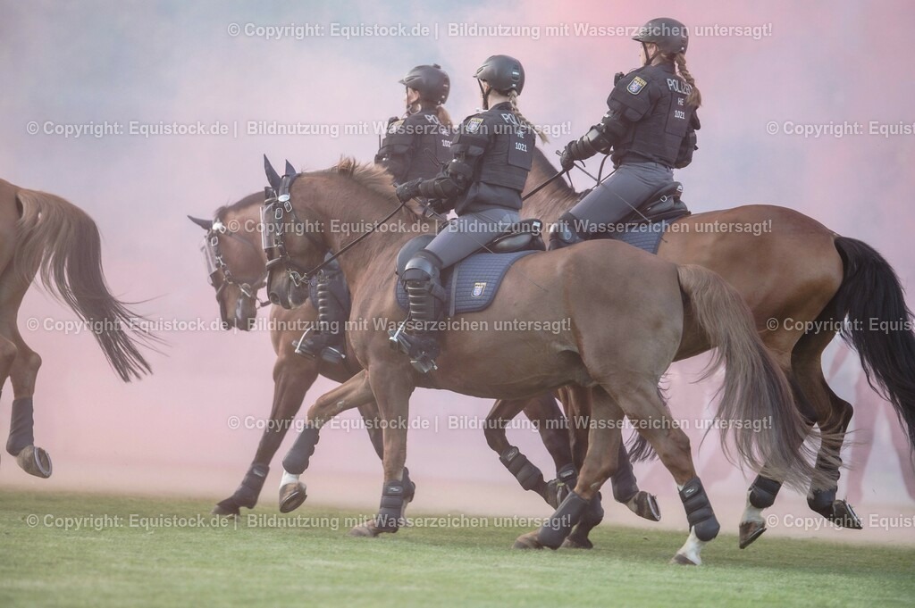 20230526_Pferdenacht_0401 | equistock