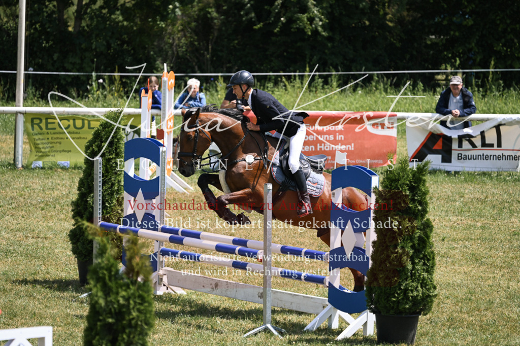 DSC_9608 | Pferde- und Turnierfotografie in Westsachsen. Pferdeportraits, Auftragszeichnungen und intuitive Kunst.