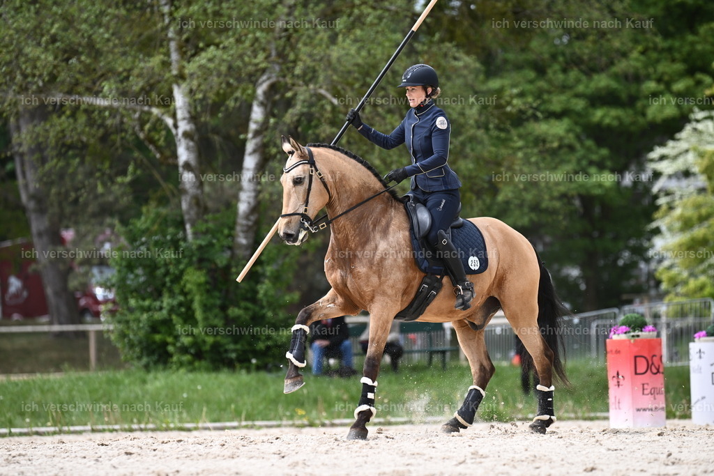 PI26_ST_Sara_Landvogt226_2533.JPG | working equitationturnier fotograf videograf stoibphotography marixx film working equitation deutschland reitsport turnierfotografie eventfotografie equestrian events