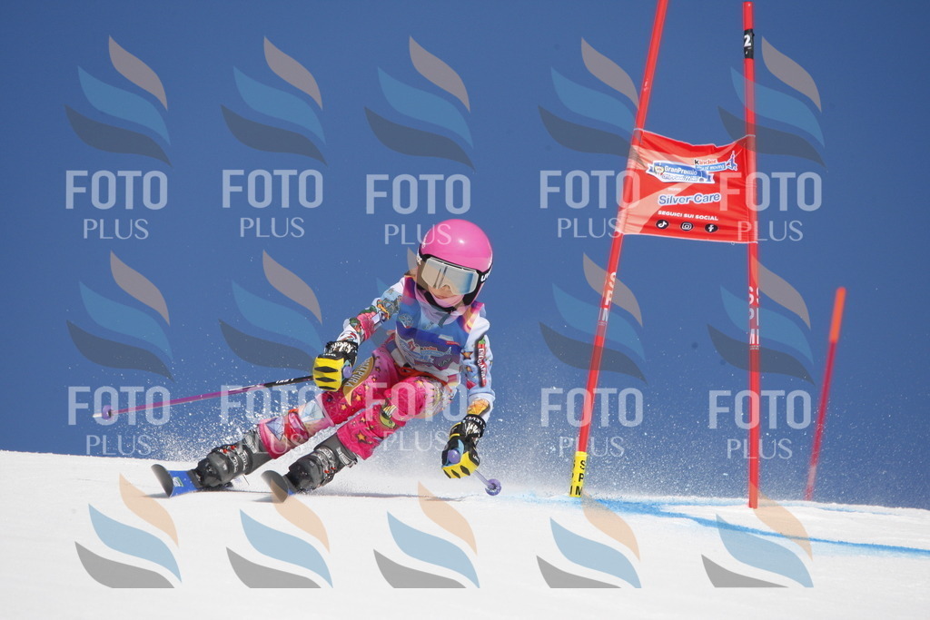 _W1G0928 | holidayphoto