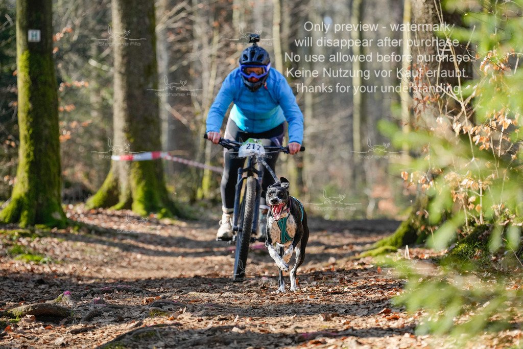 Bike_So-77 | stephaniefillaphotographie - Realisiert mit Pictrs.com