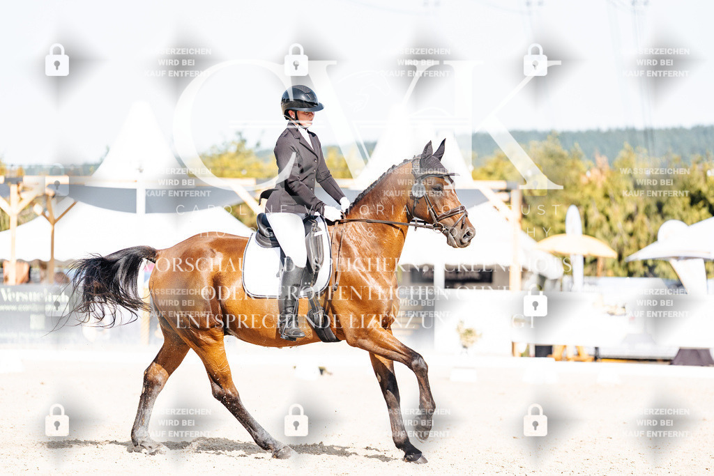 CK905729 | Turnierfotografie Pferdefotografie Trier Rheinland-Pfalz Pferdesport Reitsport Tierfotografie Sportfotografie Pferdevideo Pferdevideografie Equestrianvideography equestrianphotography  - Realisiert mit Pictrs.com