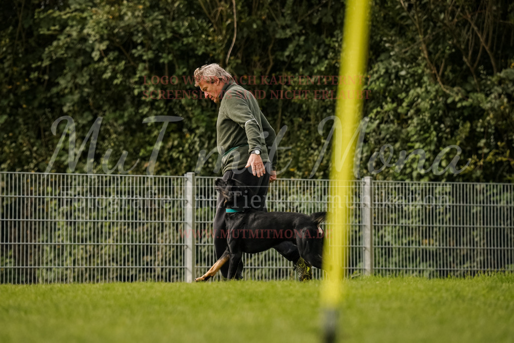 20251005_THS_Turnier-610 | MuT (Mensch und Tier) mit Mona - Fotografie und Tierkommunikation - Realisiert mit Pictrs.com