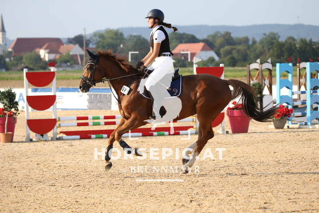 DL2Q2438 | Willkommen bei Brunnmayr - Design & Fotografie – Ihrem Spezialisten für Reitturniere und Pferdeveranstaltungen in Oberösterreich, Salzburg und Bayern! Seit über 17 Jahren sind wir leidenschaftlich dabei.