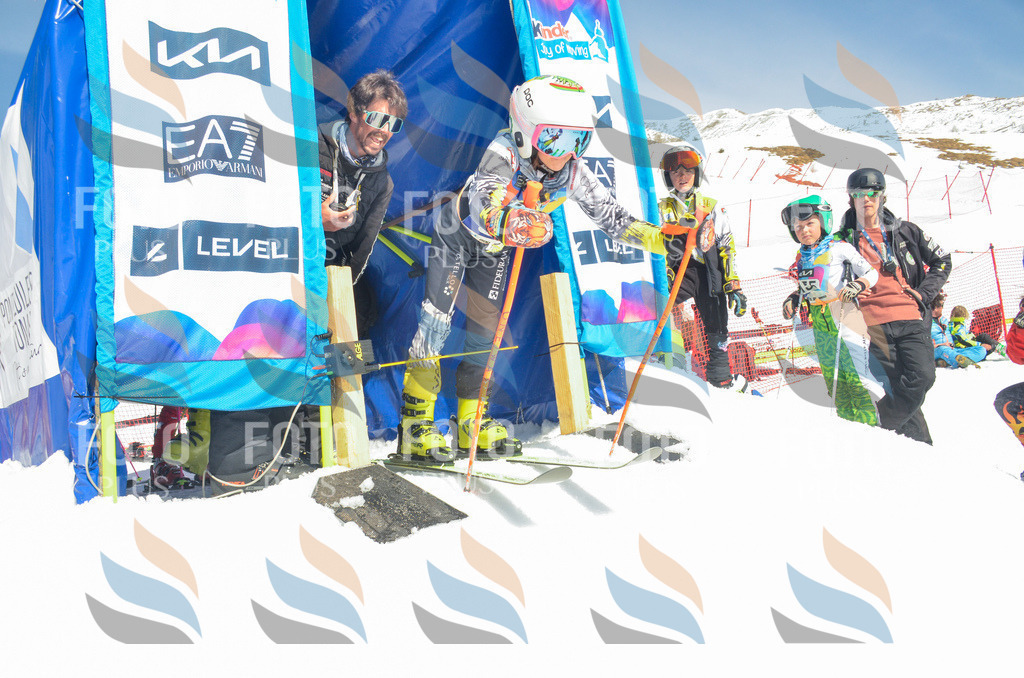 _ELE6089 | holidayphoto