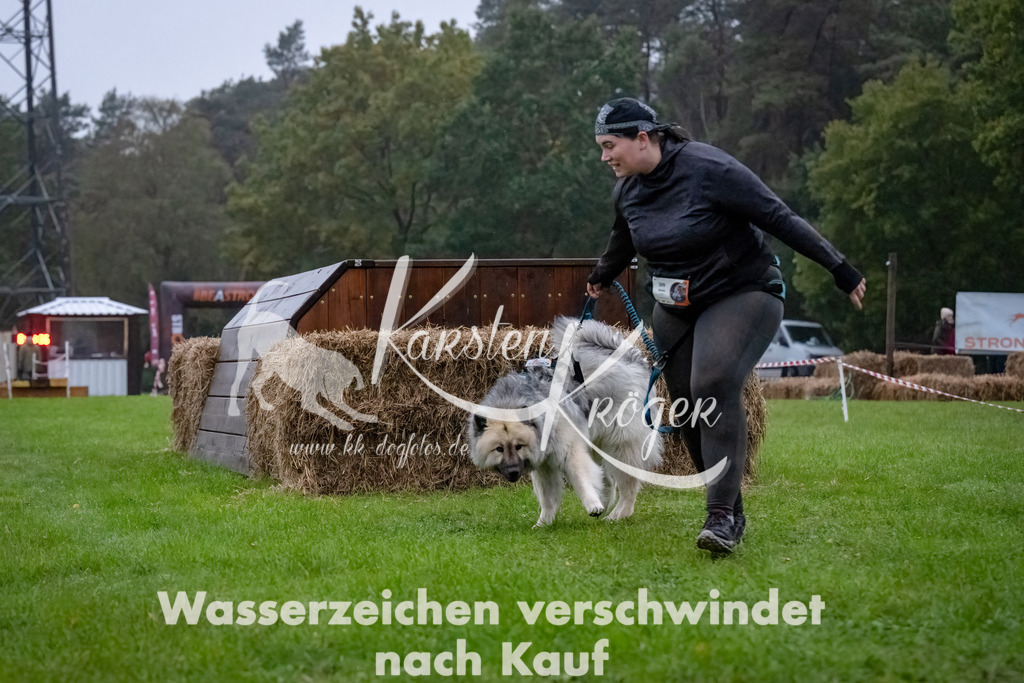0816-_ZZ90827-Bearbeitet-Bearbeitet | kk-dogfotos