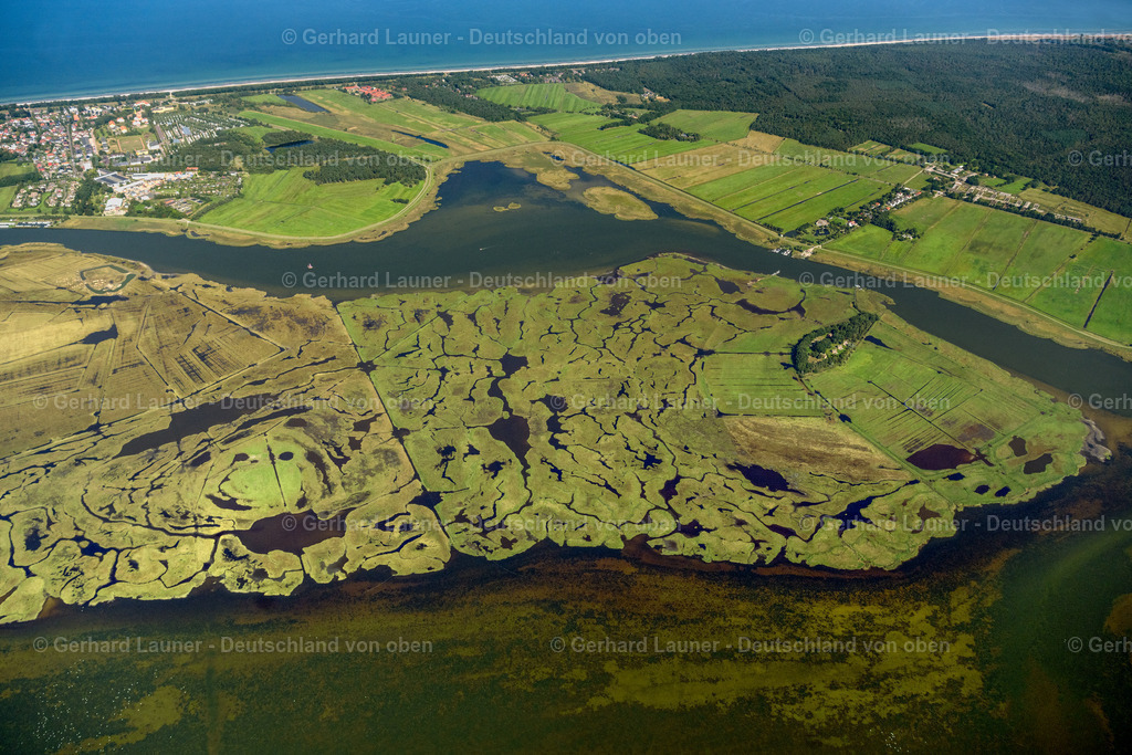 4061784 | Große Kirr, Nationalpark Vorpommersche Boddenlandschaft, ZINGST 08.09.2021 Salzgrasland und Vogelschutz- Gebiet in Zingst an der Ostseeküste im Bundesland Mecklenburg-Vorpommern, Deutschland.