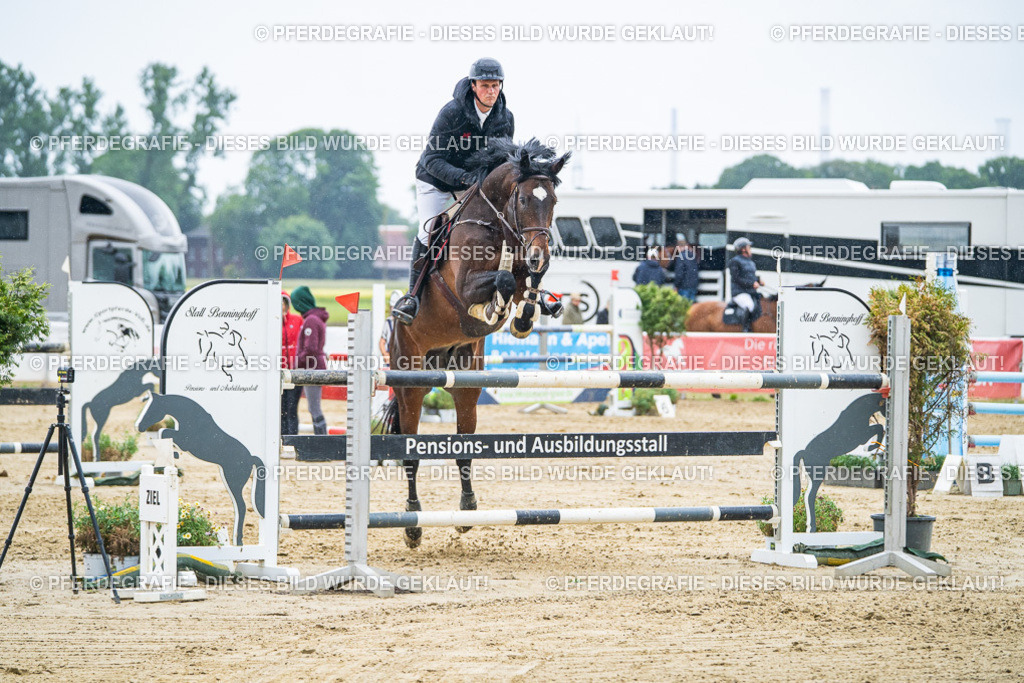 DSC09612 | Pferdegrafie