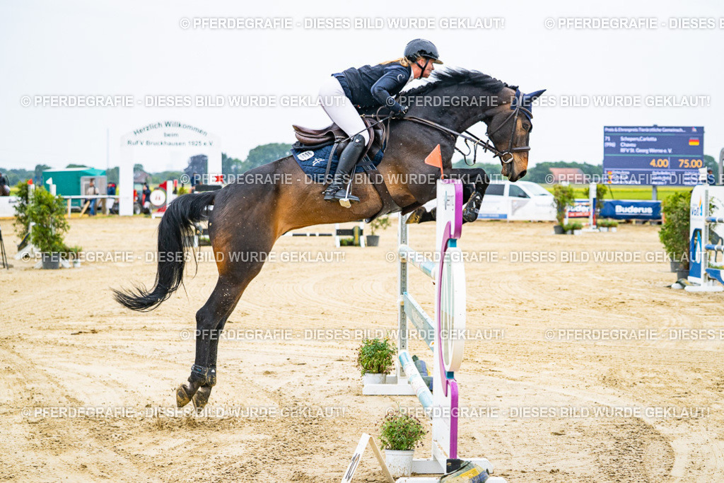 DSC08916 | Pferdegrafie