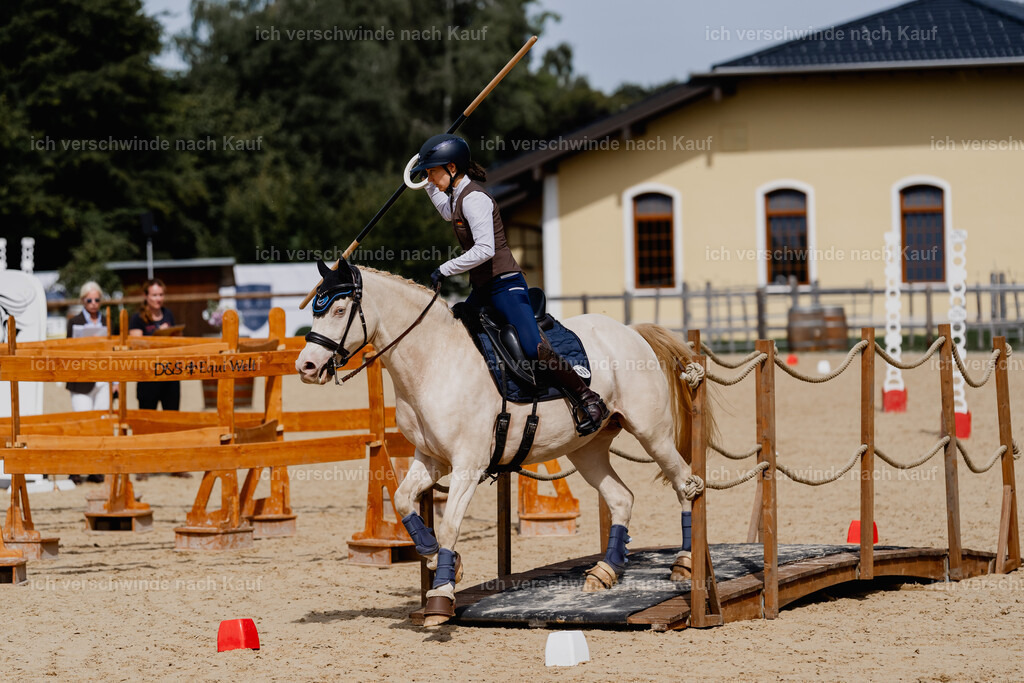 Nici11_FHC2025-2551 | working equitationturnier fotograf videograf stoibphotography marixx film working equitation deutschland reitsport turnierfotografie eventfotografie equestrian events