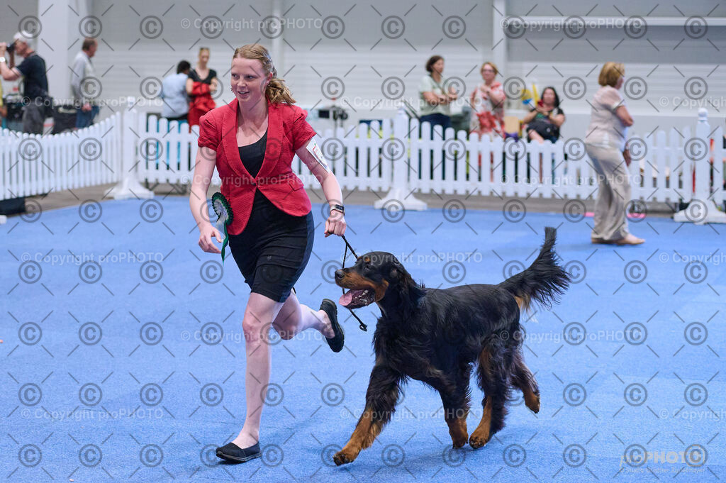 202406_ÖKV-IHA-Tulln24_DSC_4144 | proPHOTO - Realisiert mit Pictrs.com