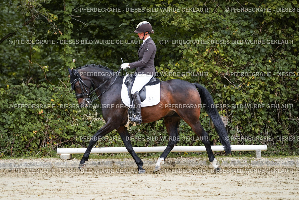 DSC08732 | Pferdegrafie