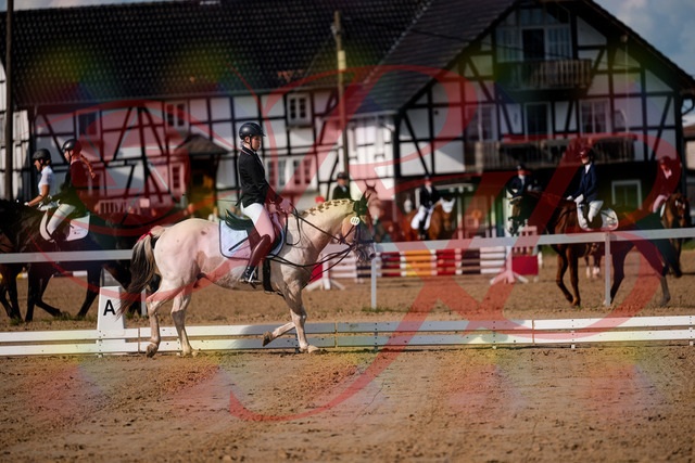 2026_10_03_Siefer-Hof_114744_Z63_27014957 | Professionelle Reitsport-, Turnier- und Eventfotografie von Robert Broda. Galerien mit ausgewählten und bearbeiteten Bildern direkt online ansehen und bestellen.