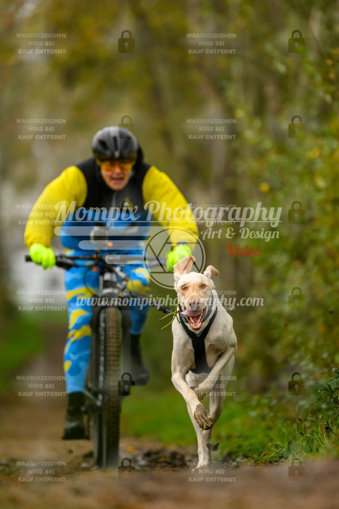 MompixPhotography_20TSB_E6_Bike-120 | PayLife