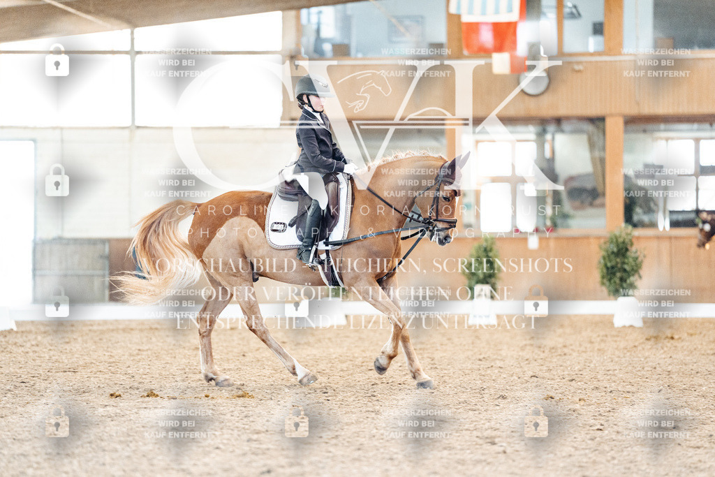 CK907988 | Turnierfotografie Pferdefotografie Trier Rheinland-Pfalz Pferdesport Reitsport Tierfotografie Sportfotografie Pferdevideo Pferdevideografie Equestrianvideography equestrianphotography  - Realisiert mit Pictrs.com